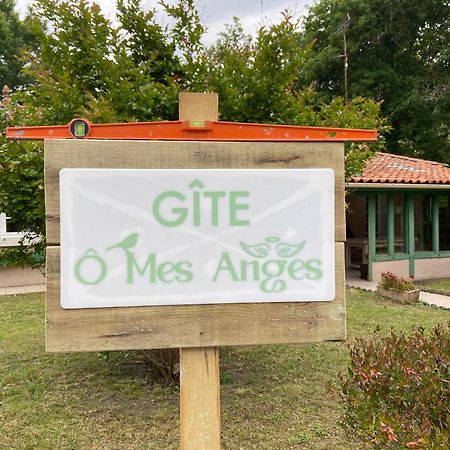 Villa 8 Personnes O Mes Anges Saint-Julien-en-Born Luaran gambar